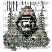 Hide And Seek Champion PNG