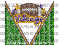 Vikings Football 20oz tumbler PNG