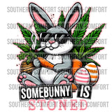 Somebunny Is Stoned Png