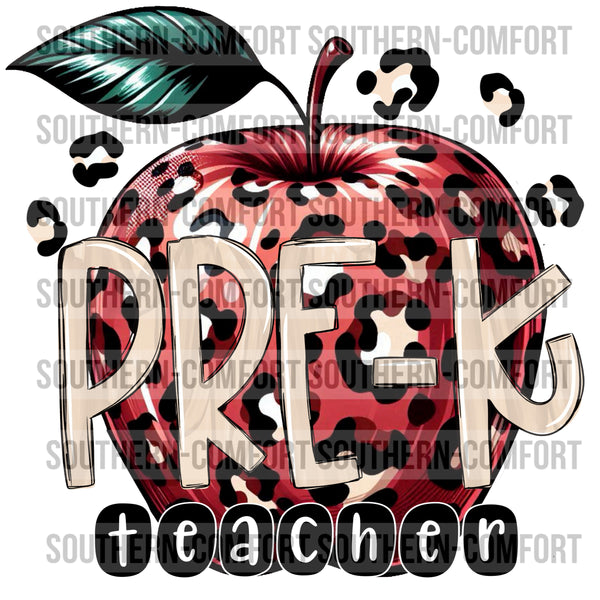 Pre-K Teacher PNG