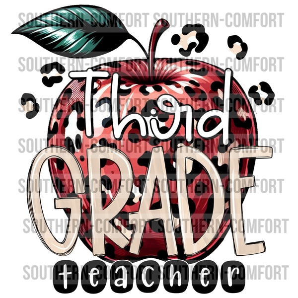 Third Grade Teacher PNG