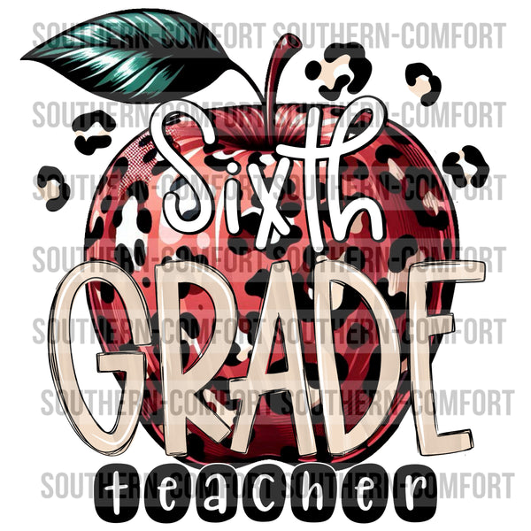 Sixth Grade Teacher PNG
