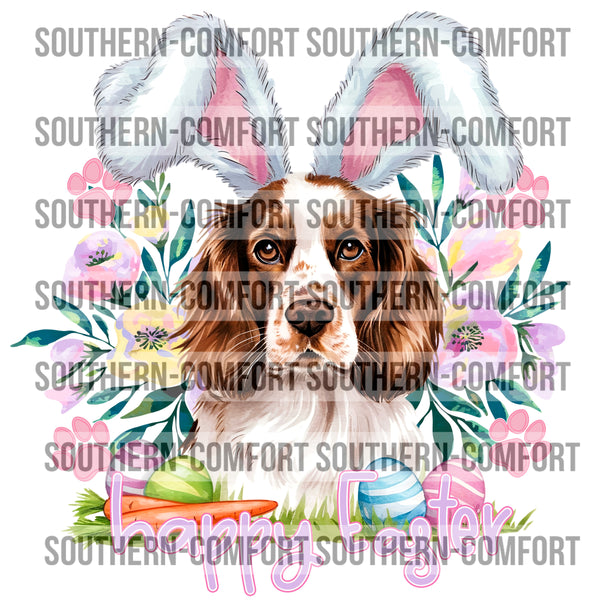 Easter Spaniel |PNG|