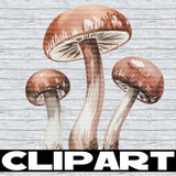 February 2026 Clipart Drive