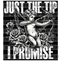 Just The Tip I Promise  PNG