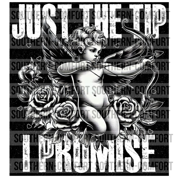 Just The Tip I Promise  PNG