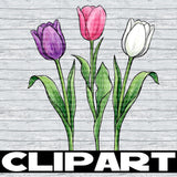 February 2026 Clipart Drive