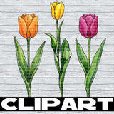 February 2026 Clipart Drive