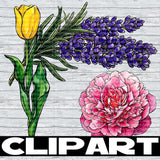 February 2026 Clipart Drive