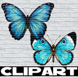 February 2026 Clipart Drive