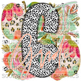 January 2026 Design Drive