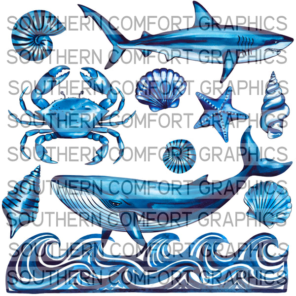 Sea Collage |PNG|