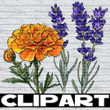 February 2026 Clipart Drive