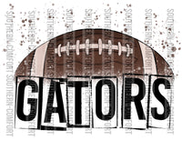 Gators football PNG