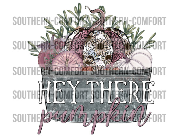 Hey there pumpkin PNG