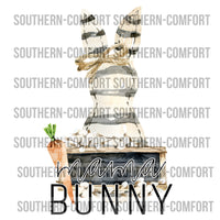 Mama bunny Png file