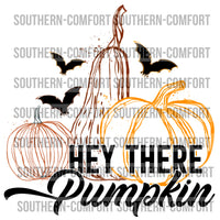 Hey there pumpkin PNG