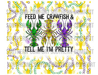 Feed me crawfish and tell me i'm pretty 20oz tumbler PNG