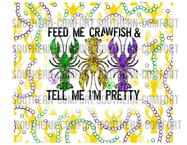 Feed me crawfish and tell me i'm pretty 20oz tumbler PNG