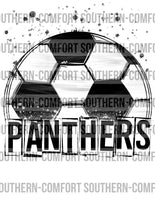 Panthers Soccer PNG