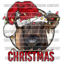 Mooey Christmas PNG