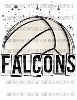 Falcons volleyball PNG