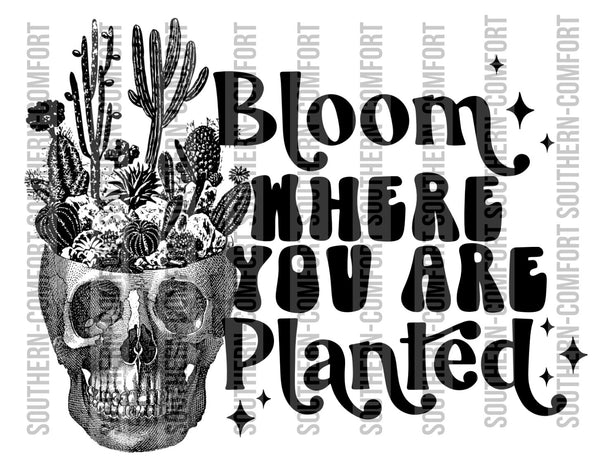 Bloom where you are planted Png file